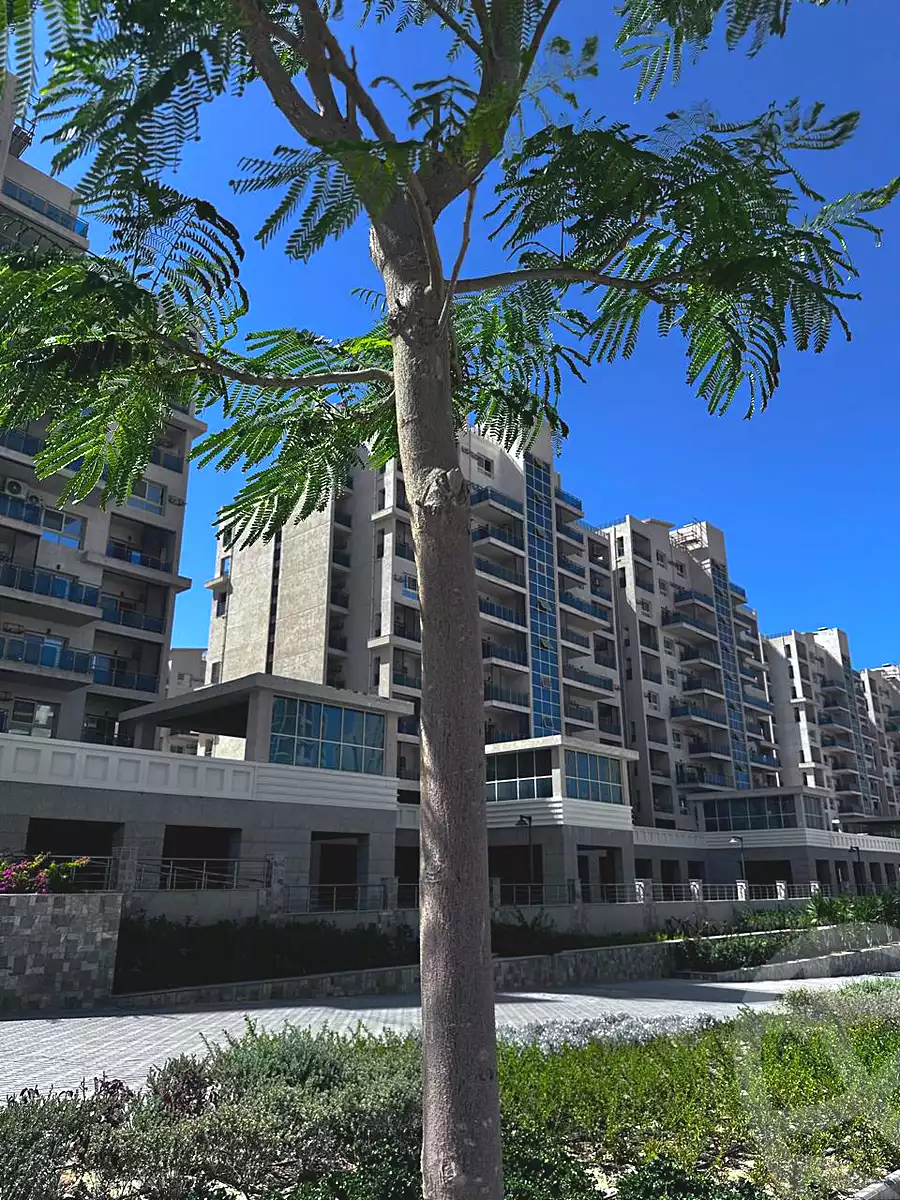 شقة · غرفتان في Downtown New Alamein