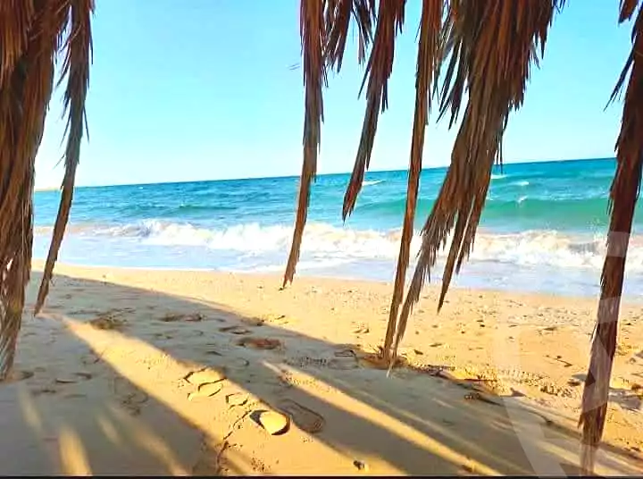 Chalet · 2 BR in Lasirena Palm Beach