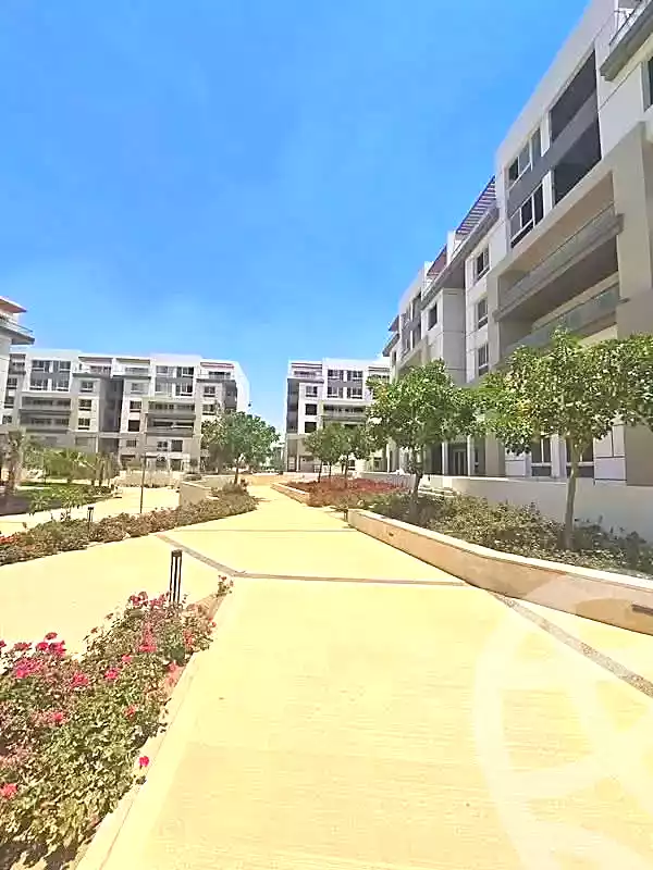 Apartment · 2 BR in Hyde Park