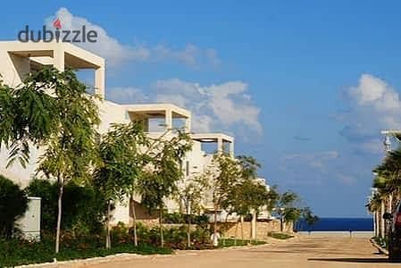شاليه · ٣ غرف في Hacienda White